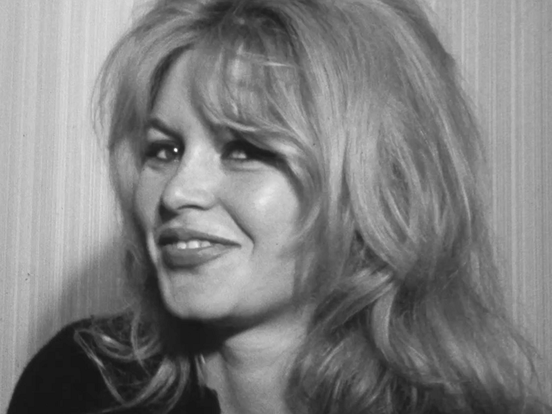 Bardot Beyond the Icon