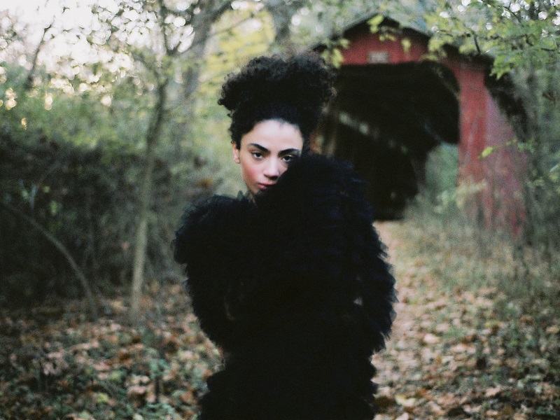 Where the Fields Remember