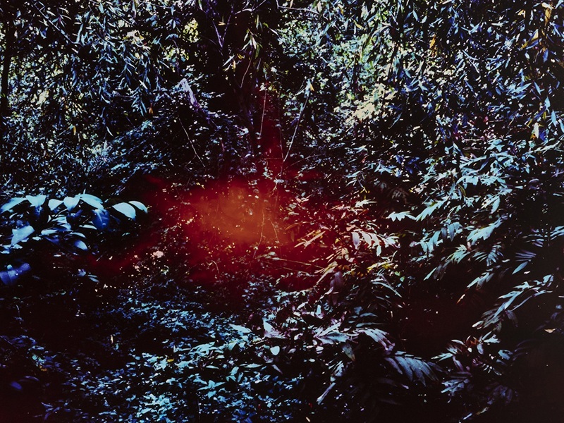 The Photopoetry approach of Peter Hauser